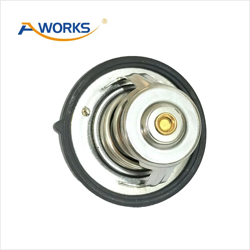 2550038400 Car Thermostat