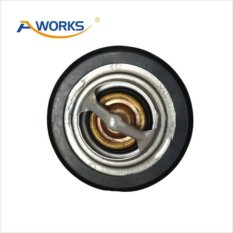 24507563 Car Thermostat