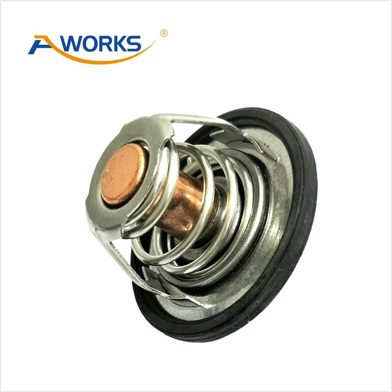2550038400 Car Thermostat